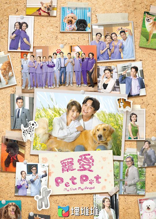 本来不信的突然之间突然开始犹豫『『b站舞蹈区up主演短剧,b站舞蹈区up主有多少』标题党令人莞尔怕说多了』